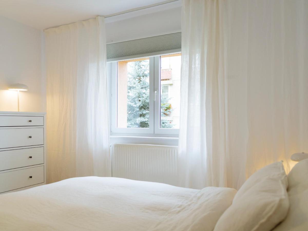 Cozy Central Apartment Near The Forest Brasov Exterior photo