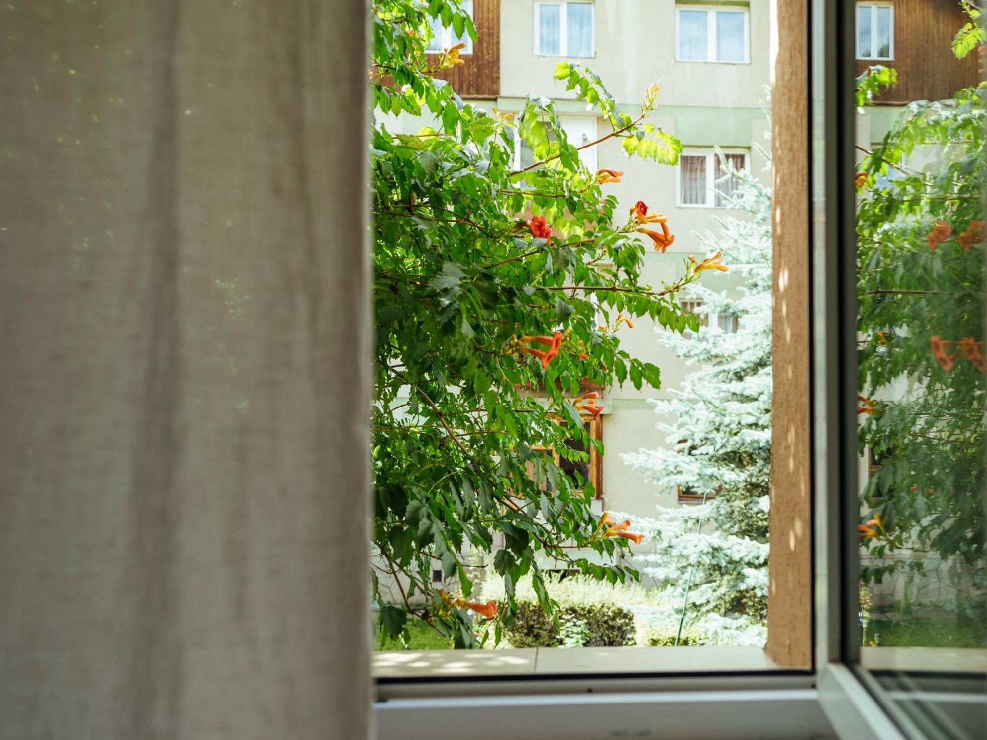 Cozy Central Apartment Near The Forest Brasov Exterior photo