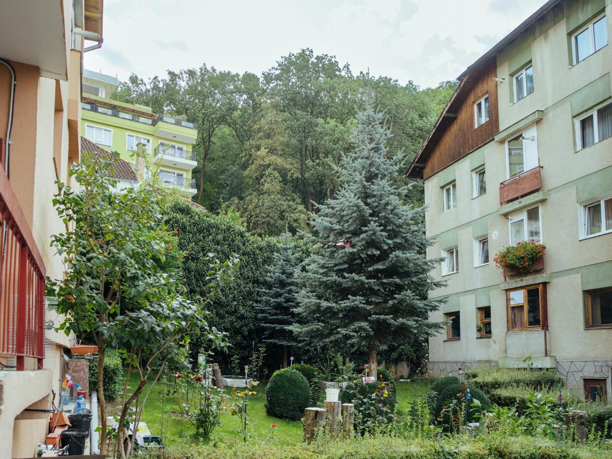 Cozy Central Apartment Near The Forest Brasov Exterior photo